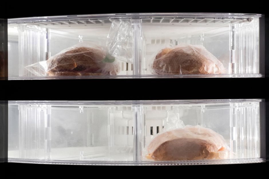 Freezer não gela em Santo Amaro e Socorro: diagnóstico e conserto profissional
